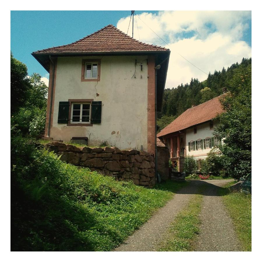 La Demeure Des Forges Appartement Grandfontaine  Buitenkant foto