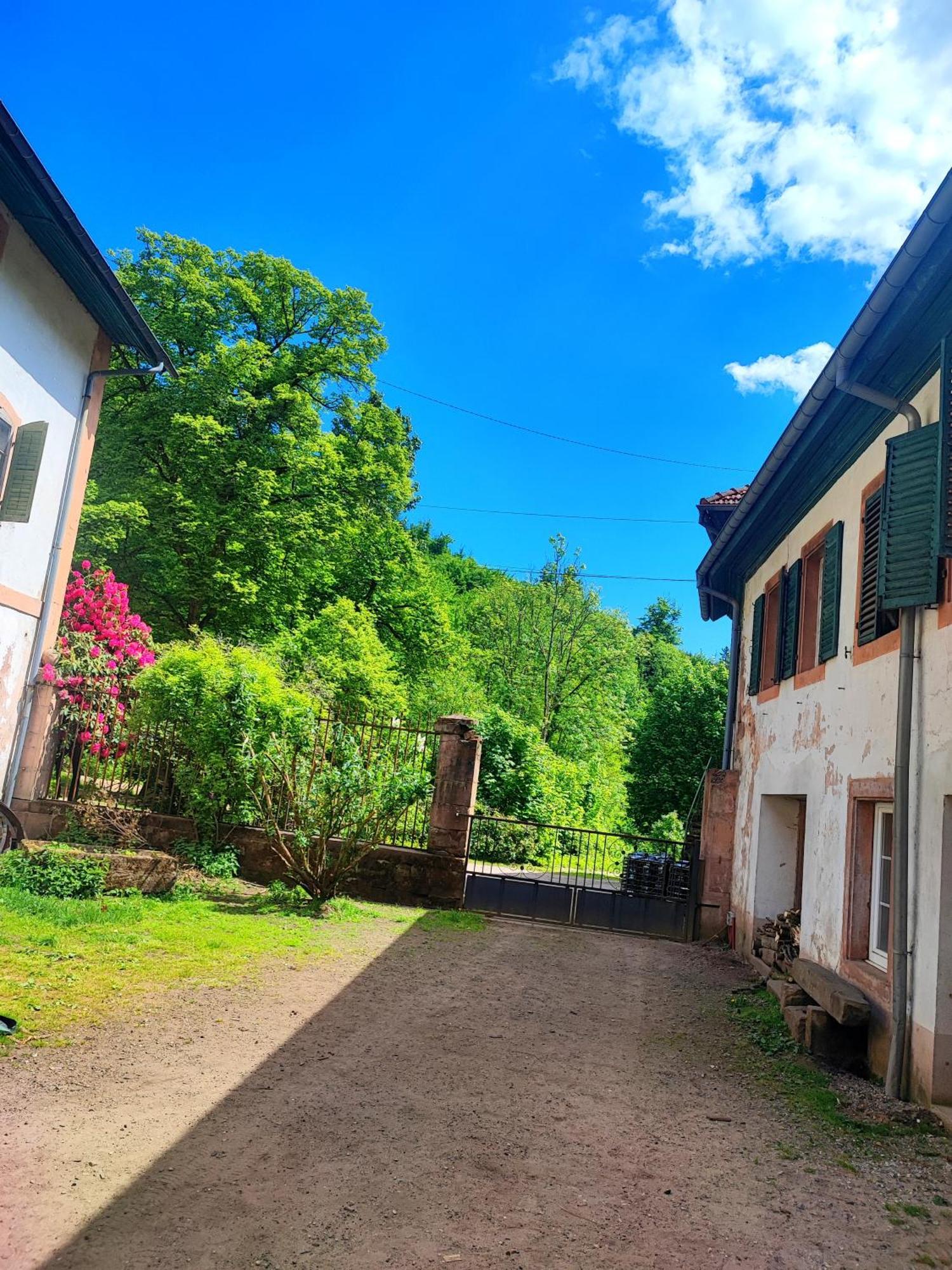 La Demeure Des Forges Appartement Grandfontaine  Buitenkant foto