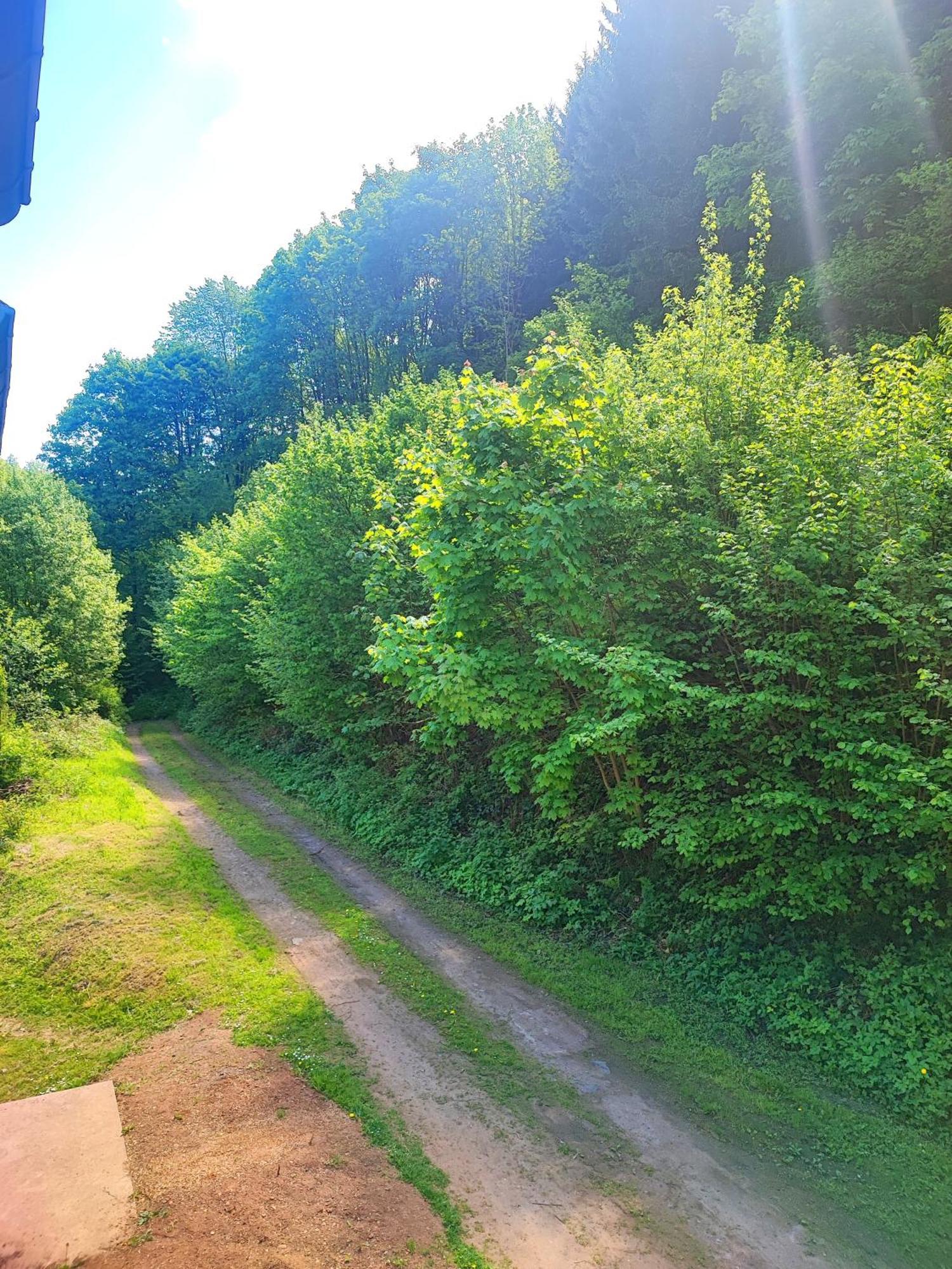 La Demeure Des Forges Appartement Grandfontaine  Buitenkant foto