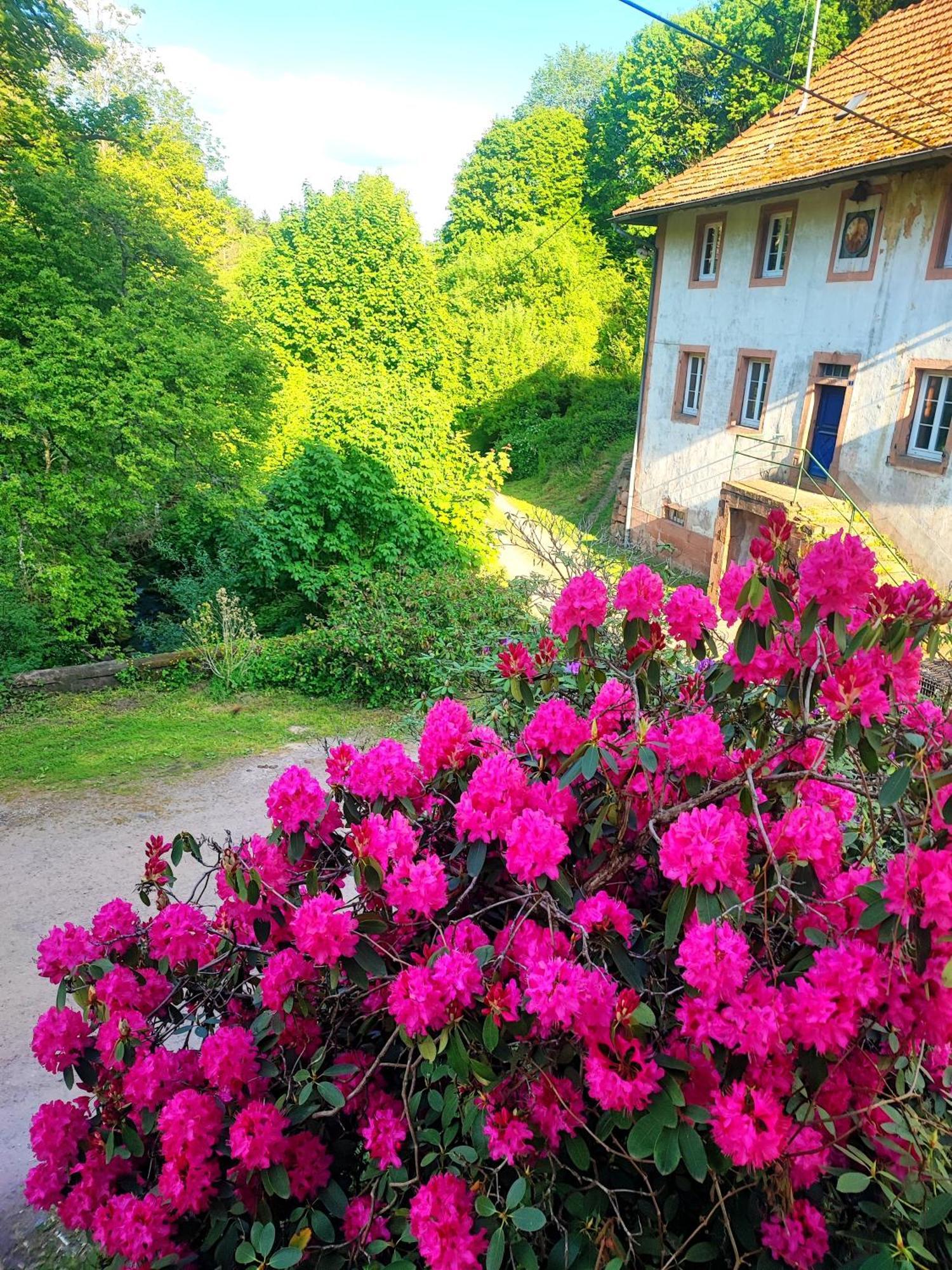 La Demeure Des Forges Appartement Grandfontaine  Buitenkant foto
