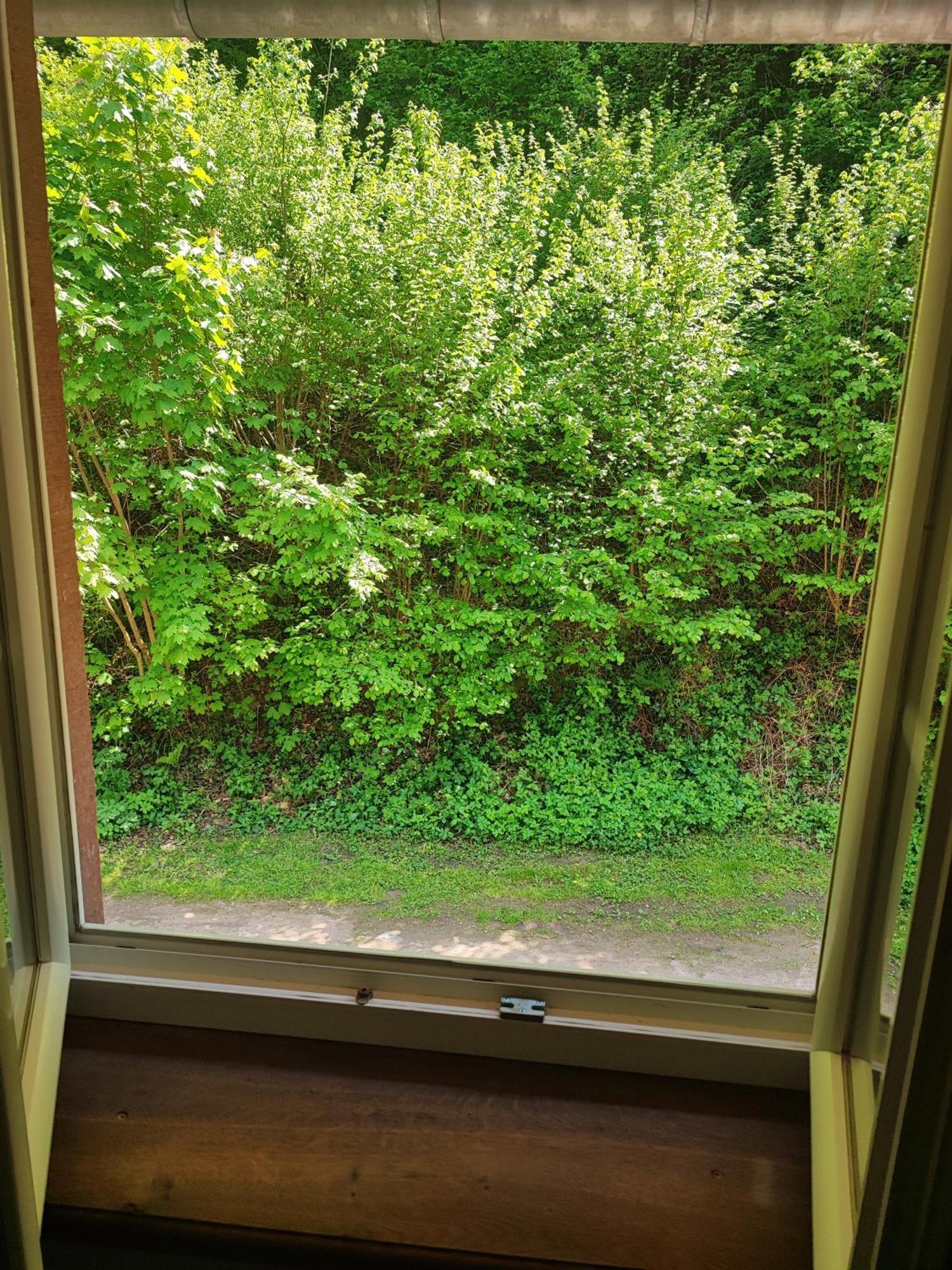 La Demeure Des Forges Appartement Grandfontaine  Buitenkant foto