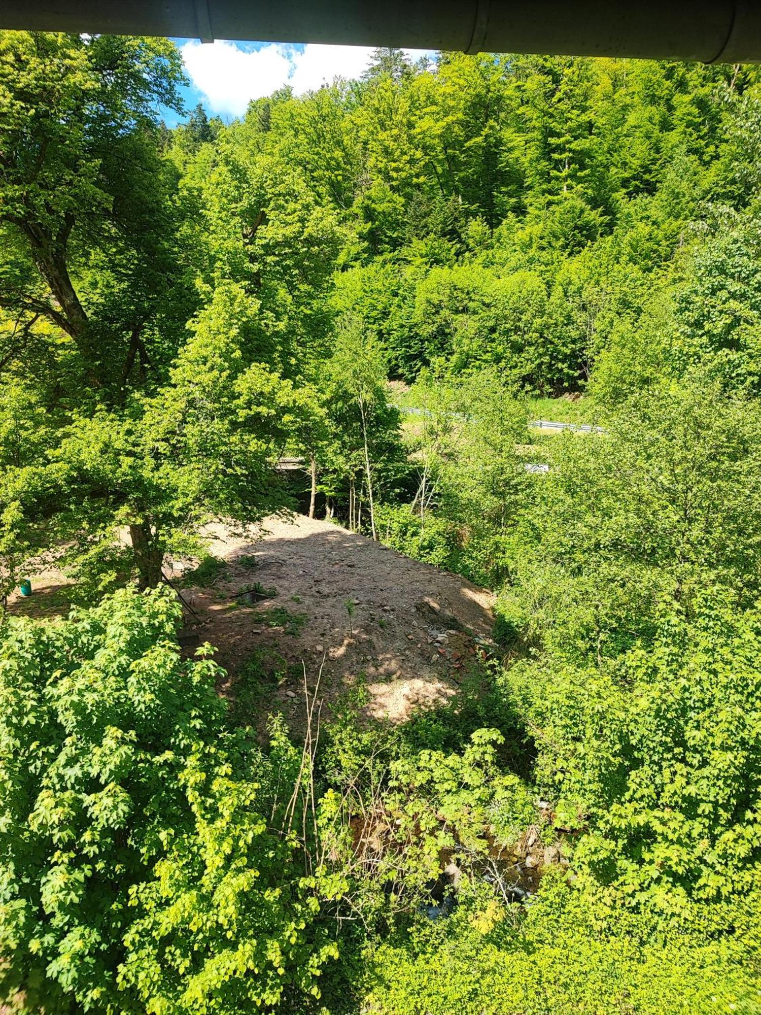 La Demeure Des Forges Appartement Grandfontaine  Buitenkant foto